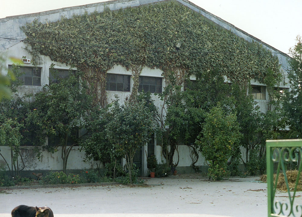 Costa Guerreiro - 50 anos